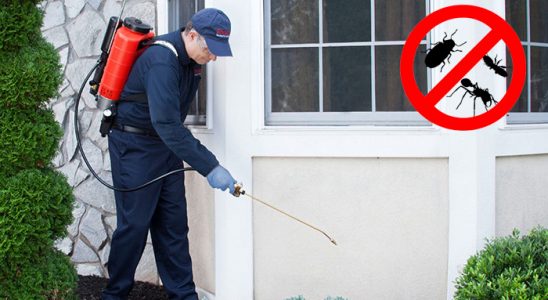 Bolu Bit İlaçlama böcek ilaçlama ve haşere kontrolü — ilaclama-tr.com